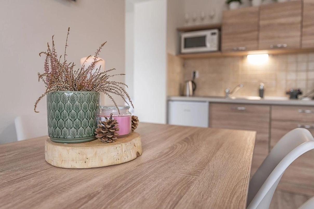 Apartmany Minata Liptovský Mikuláš Εξωτερικό φωτογραφία